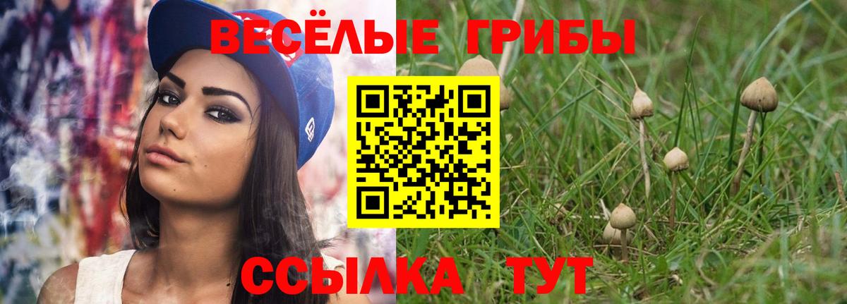 Бошки Шишки Вышний Волочёк
