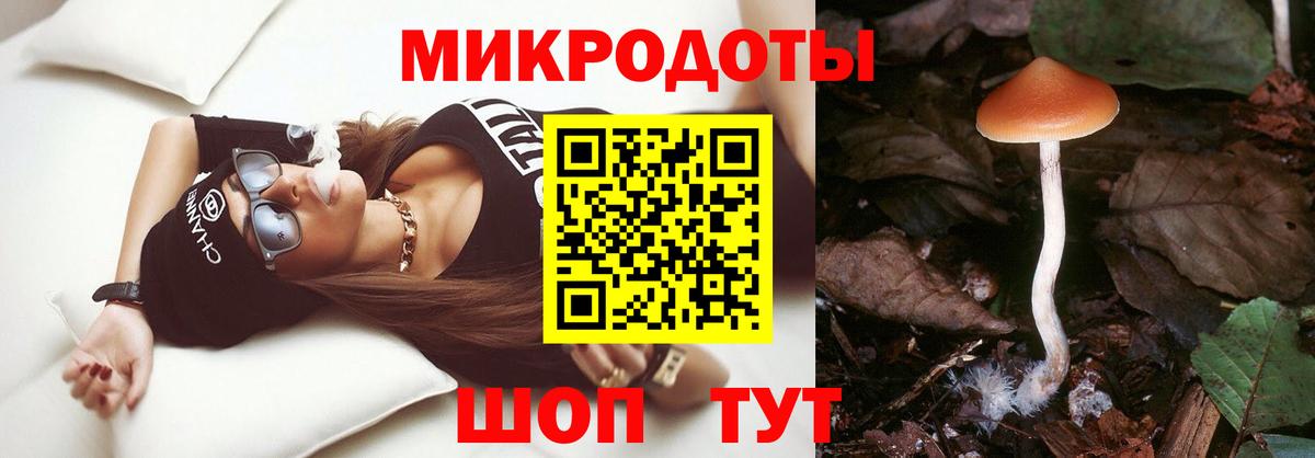 Псилоцибиновые грибы мухоморы Вышний Волочёк